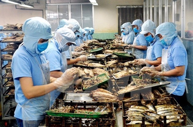 附圖：2018年前兩月越南水產(chǎn)品出口額同比增長(zhǎng)近30%。（圖片來(lái)源：越通社）